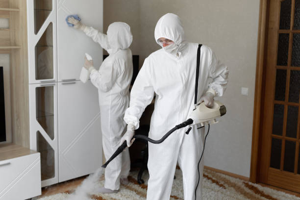 Mold Removal Process in De Witt, NY